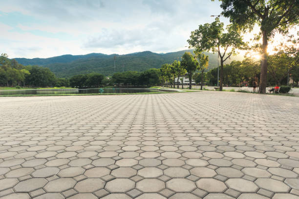 Paver Driveway Replacement in Vidalia, GA